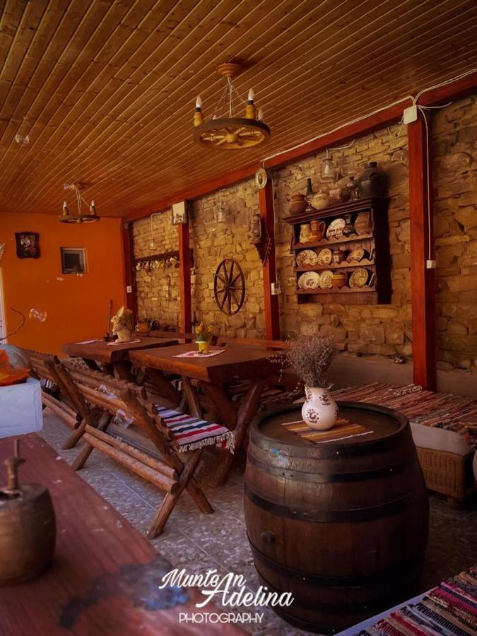 Casa Pe Valea Hartibaciului Guest House Barcut Ngoại thất bức ảnh