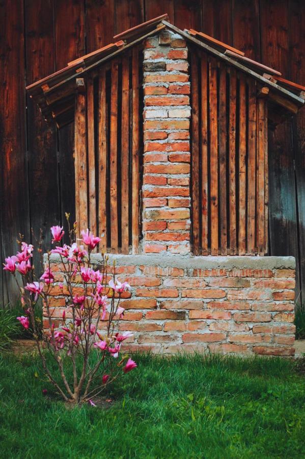 Casa Pe Valea Hartibaciului Guest House Barcut Ngoại thất bức ảnh