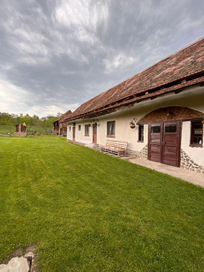 Casa Pe Valea Hartibaciului Guest House Barcut Ngoại thất bức ảnh