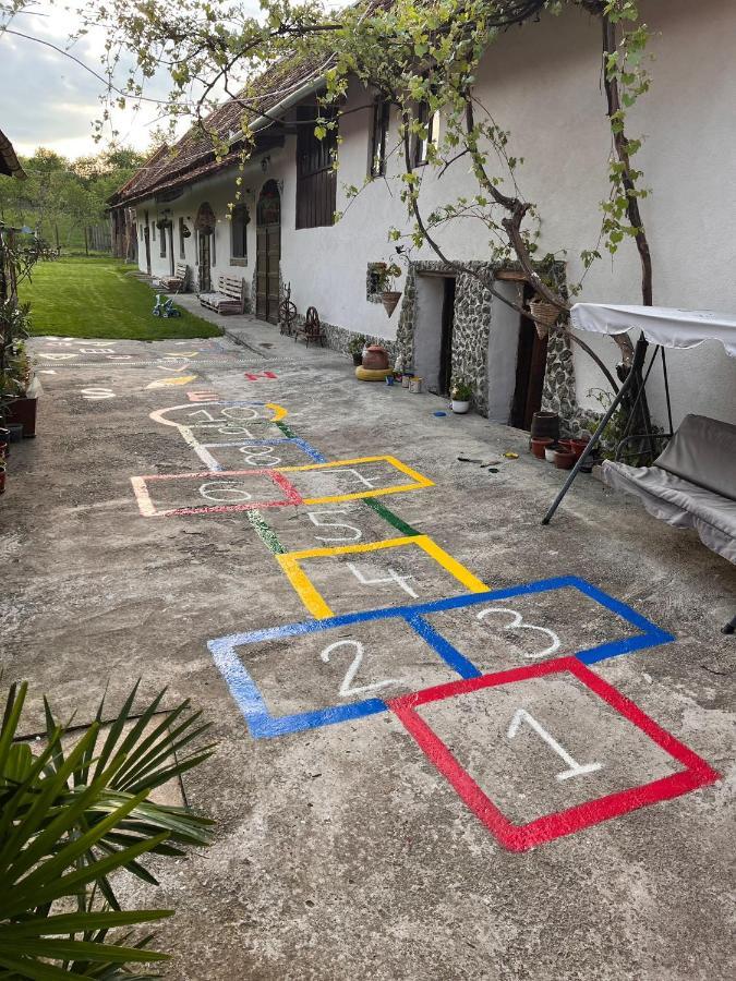 Casa Pe Valea Hartibaciului Guest House Barcut Ngoại thất bức ảnh