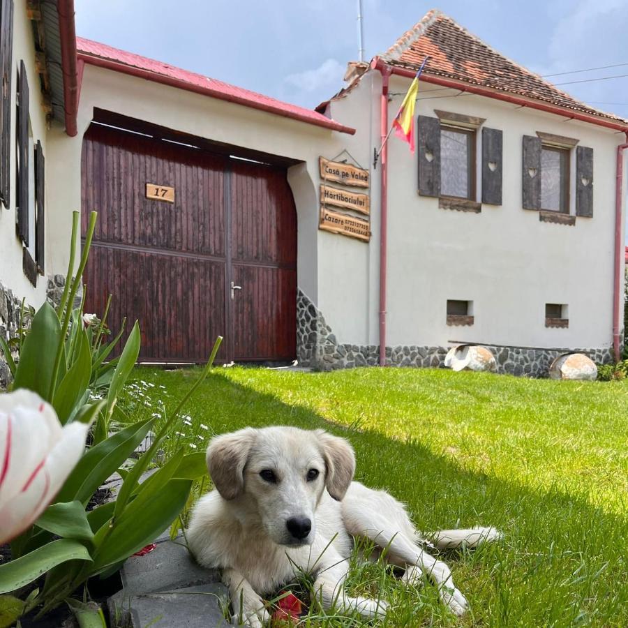 Casa Pe Valea Hartibaciului Guest House Barcut Ngoại thất bức ảnh