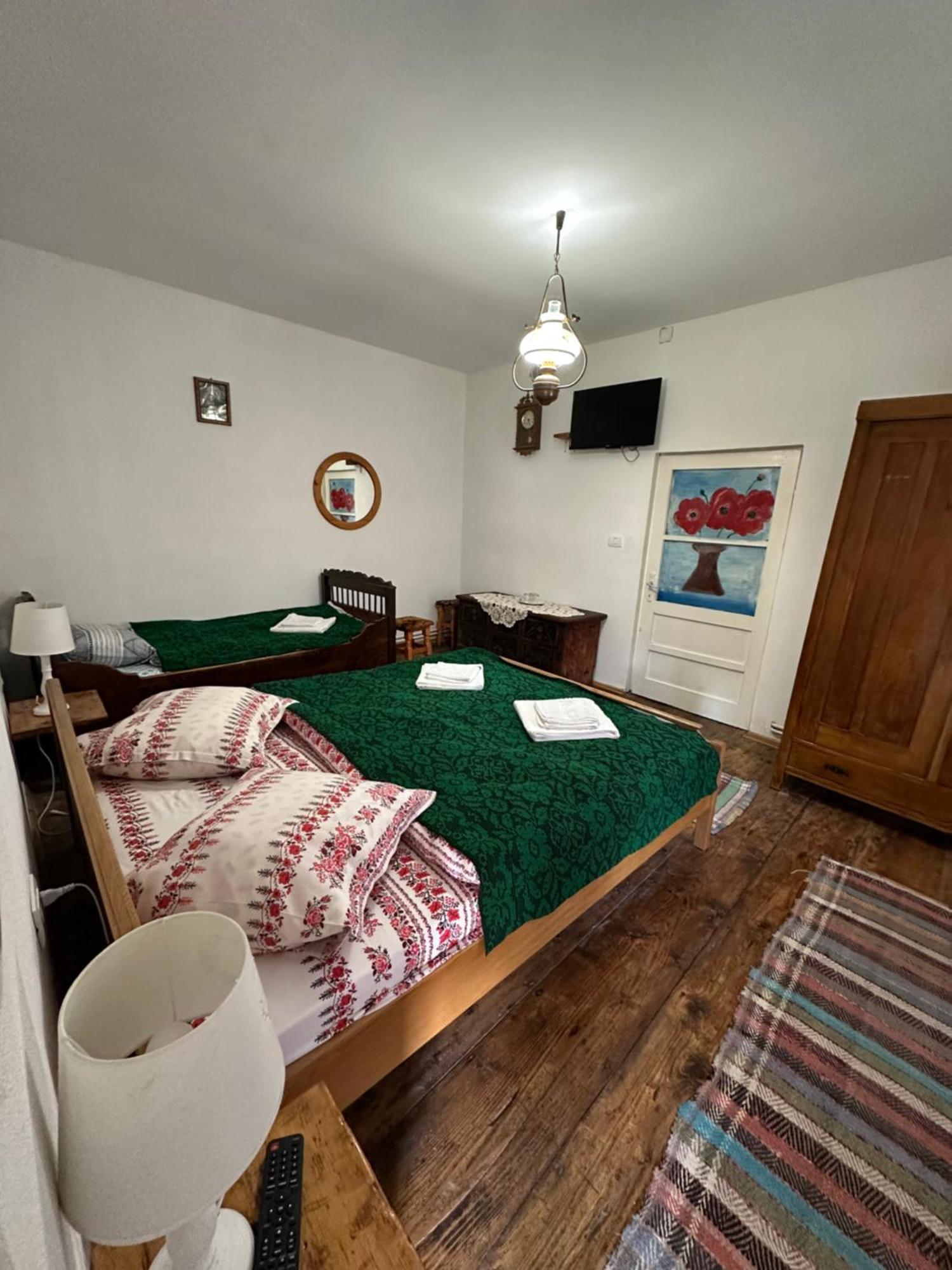 Casa Pe Valea Hartibaciului Guest House Barcut Ngoại thất bức ảnh